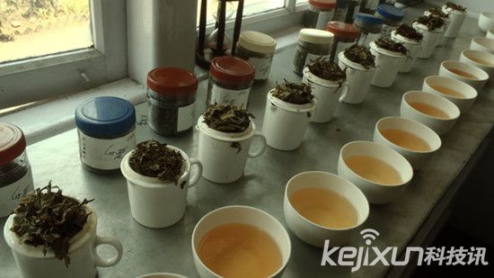 印度茶葉電商Teabox融資600萬美金擴張海外市場