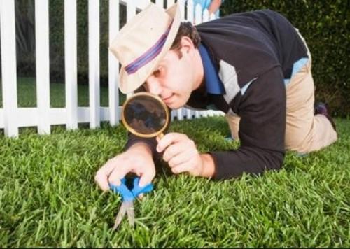 富士康報價已出 官翻iPhone真的會火?