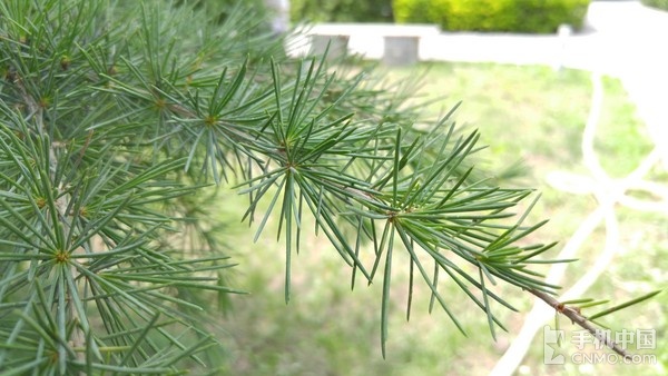 LG G4行貨版拍照體驗(1)_LG G4第4張圖 LG G4行貨版拍照體驗(1)_LG G4第4張圖