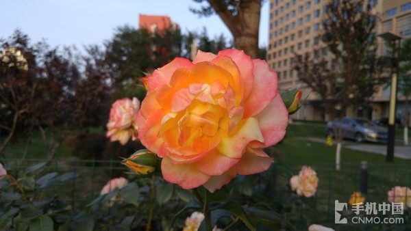 LG G4行貨版拍照體驗(2)_LG G4第2張圖 LG G4行貨版拍照體驗(2)_LG G4第2張圖