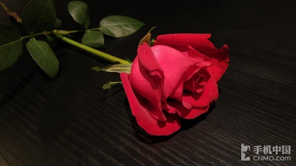 LG G4行貨版拍照體驗(2)_LG G4第3張圖 LG G4行貨版拍照體驗(2)_LG G4第3張圖