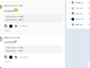 一個影響力大、實戰、干貨的SEO案例