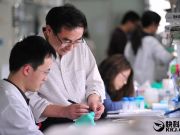 這20家獨角獸公司給程序員年薪最高:11萬美元起步