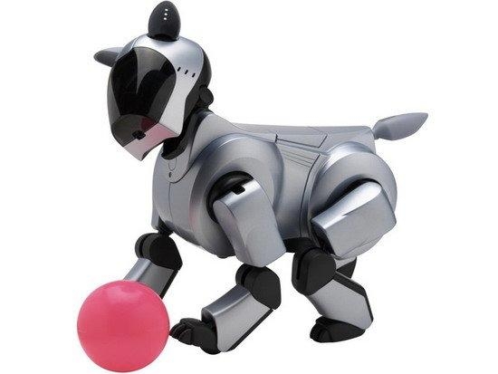 日本頂級專家：災(zāi)害救援機器人是我們的重要領(lǐng)域 | 2015世界機器人大會