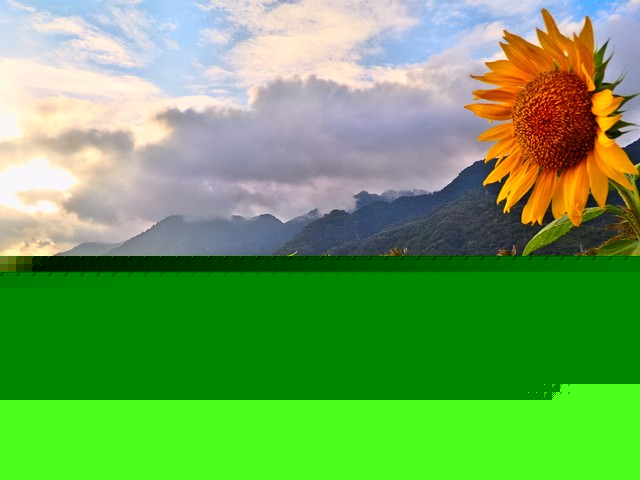 涉足拍照手機?華碩放出新品發布會邀請函