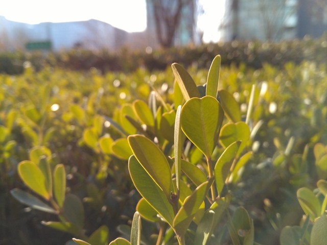 千元機(jī)大戰(zhàn) 榮耀暢玩5X對(duì)比紅米Note 3