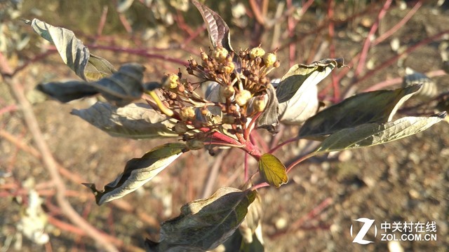 斐訊P860L全面評測