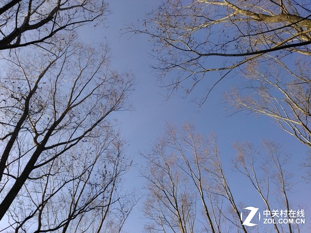 樣張秀:帶著TCL樂玩2C感受北京深冬