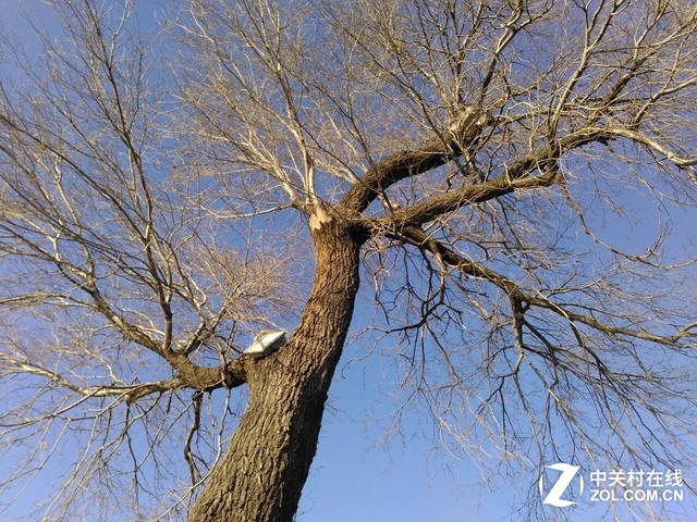 樣張秀:帶著TCL樂玩2C感受北京深冬