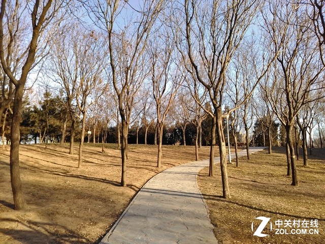 樣張秀:帶著TCL樂玩2C感受北京深冬