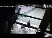 騎小米九號平衡車摔骨折:網友曝實拍視頻真相