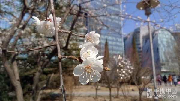 金立S8精彩樣張賞析（2）_金立S8第1張圖