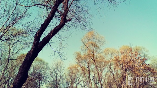 金立S8精彩樣張賞析（2）_金立S8第3張圖