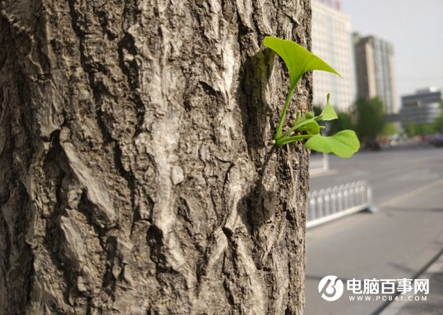 樂Max 2值得買嗎 樂Max 2評測