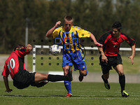 新手進階班 相機的對焦功能究竟怎么用