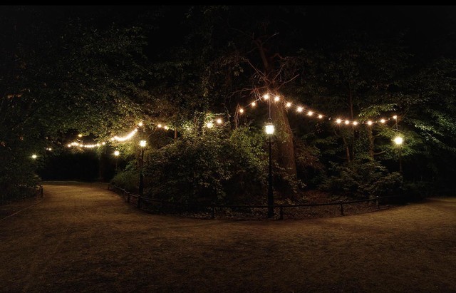 新手進階班 相機的對焦功能究竟怎么用