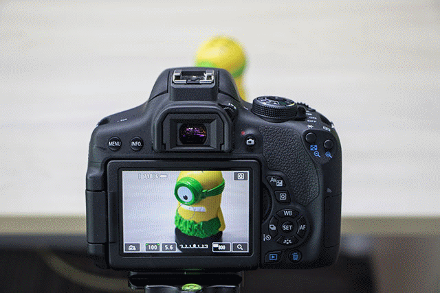 新手進階班 相機的對焦功能究竟怎么用