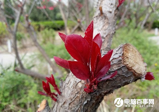 指紋升級 魅藍note3和魅藍metal區(qū)別對比