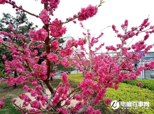 指紋升級 魅藍note3和魅藍metal區(qū)別對比