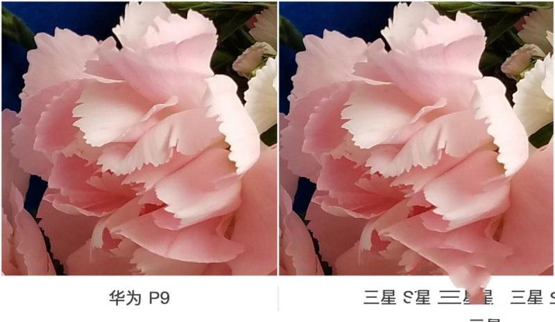 華為P9/三星 S7 edge拍照對(duì)比評(píng)測(cè)