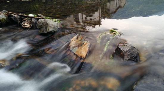 中興AXON天機7拍照樣張
