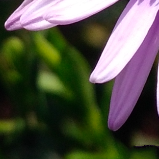 尖phone對決：榮耀5A PK 紅米Note 3（暫不發布） 