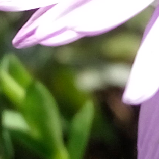 尖phone對決：榮耀5A PK 紅米Note 3（暫不發布） 