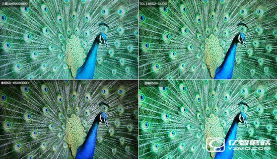 四款65智能電視圖片對比 四款65智能電視圖片對比