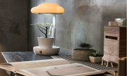 云植物桌燈幫你照顧花花草草：養(yǎng)花也能當(dāng)甩手掌柜