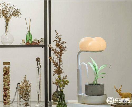 這貨是燈還是植物 一個自給自足的桌燈