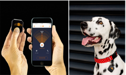 iKon智能追蹤器:再也不怕丟東西了