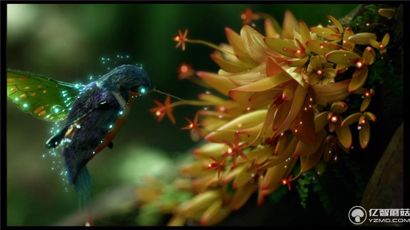 小米盒子3增強版本地視頻播放 小米盒子3增強版本地視頻播放