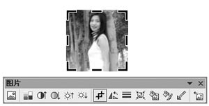 如何在PowerPiont里面裁剪圖片?