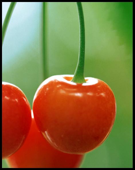 WPS文字技巧:和我一起畫(huà)櫻桃 三聯(lián)教程