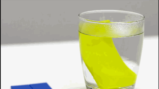 DIY超萌手機(jī)支架？只需要一分鐘和一杯熱水