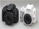實用單反推薦：入門者的最佳首選