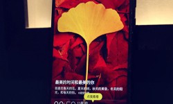 2016年四款熱門(mén)指紋識(shí)別手機(jī)推薦