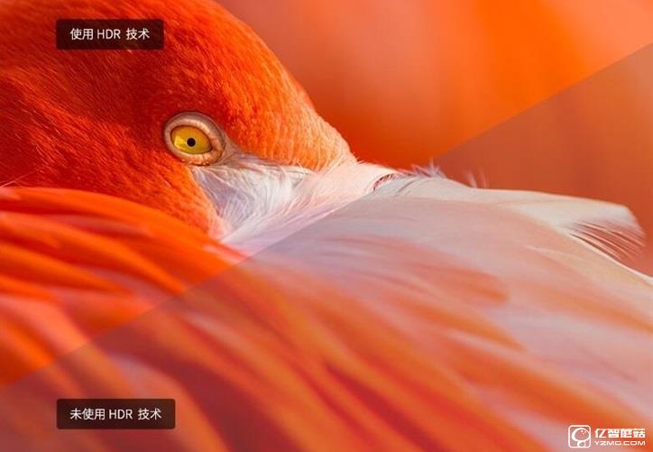 4K HDR+語音 微鯨55寸智能曲面電視 4K HDR+語音 微鯨55寸智能曲面電視