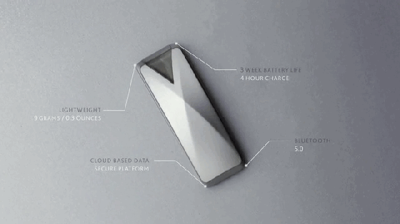 自己都養不好怎么養狗？這個項圈能幫你照顧狗狗