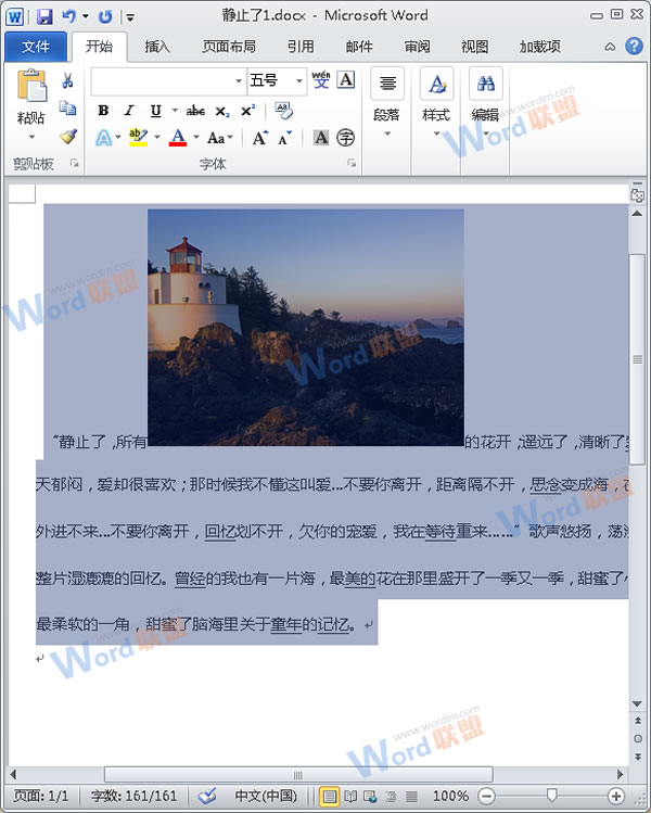 怎么把Word的內容以圖片格式插入到Excel2010中?