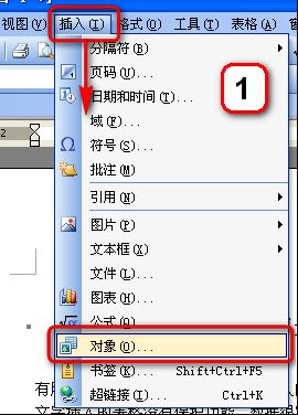 WPS文字中的表格也保護密碼功能