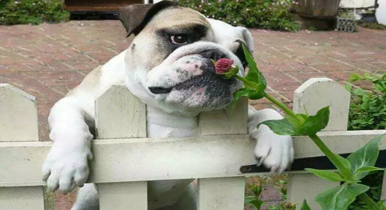 情人節送什么?這些科技產品值得一看!