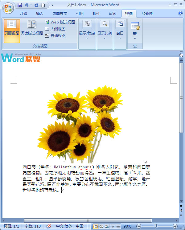 在Word2007中如何讓文字緊挨圖片