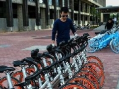 ofo月活用戶環比增速169.4% 遠超摩拜2.4倍