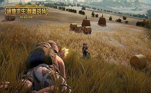 《絕地求生:刺激戰(zhàn)場》嚴(yán)厲打擊“惡意傷害隊友”的行為