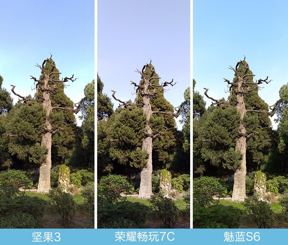堅果3、榮耀暢玩7C、魅藍(lán)S6拍照樣張對比 千元機(jī)拍照哪個好?