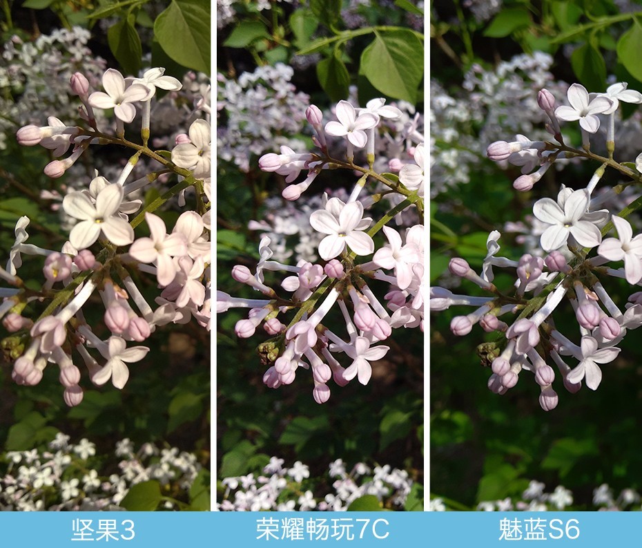 堅果3、榮耀暢玩7C、魅藍(lán)S6拍照樣張對比 千元機(jī)拍照哪個好?