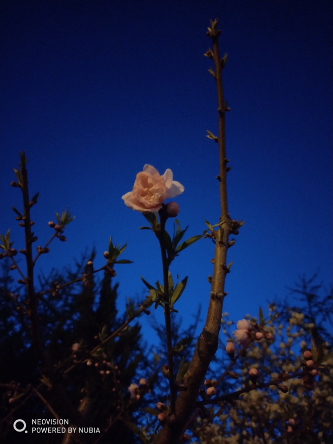 努比亞Z18mini值得買嗎？努比亞Z18mini評測