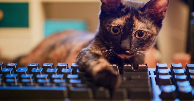 電腦鍵盤上F1-F12快捷鍵的作用大全