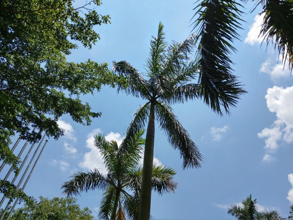 HTC U12+怎么樣 HTC U12+體驗評測